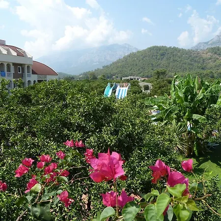 Garden Resort Bergamot-3
